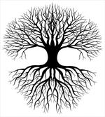 Roots Branch Leafless