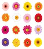 Colorful Petals Love artwork