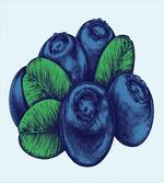 Vintage Blueberry