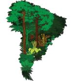 Botanic Continent Map