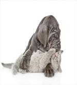 Hugging Cozy Animals artwork