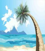 Palm Tree on the Beach