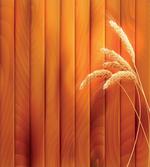 Wheat Spikes Wood Plank artwork
