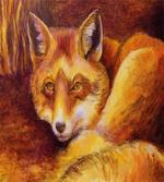 Vibrant Art Fox Resting