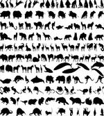 Animal Silhouettes Habitat artwork