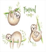 Babies Palm Leaves