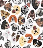 Faces of Various Dog Breeds
