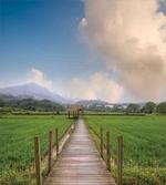 Green Farm Rural View