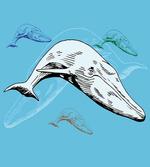 Ocean Whales Hand Drawn