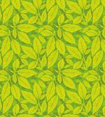 Nature Eco Art Leaves