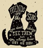 Cat Dog Friends