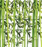 Fresh Green Plants