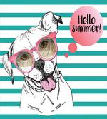 English Pitbull Sunglassess