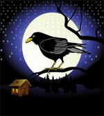 Full Moon Night Bird artwork