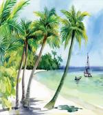 Tropical Landscape Beach