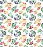 Hand Drawn Berry Branch