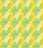 Palm Leaves Hawaii Island