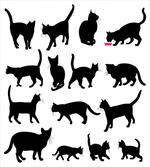 Black Kittens Pets Paws