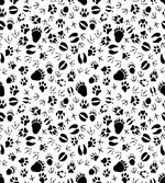 Footprints of Animals