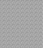 Spiral Curly Shapes