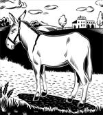 Farmland Village and Animal