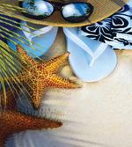 Tropical Beach Seashell