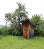 Wooden Hut in Forest