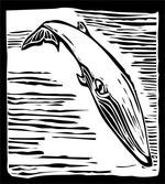Vintage Style Sea Mammal