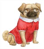 Dog in Red Dress Cartoon