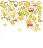 Colorful Vivid Fall Tree