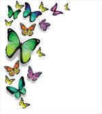Bohem Wild Butterflies