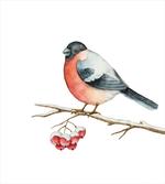 Wild Bird Watercolor