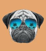 Dog and Sunglasses