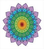 Eastern Daisy