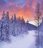 Frozen River Sunrise artwork