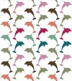 Colorful Dolphins Art