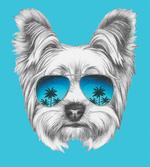 Cool Sunglasses Artwork