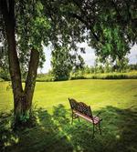 Resting in Nature Yard