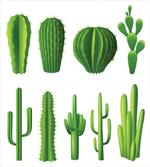 Hot Mexican Desert