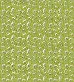 Funny Chameleon