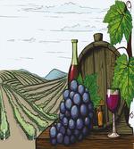 Views of Vineyards Grapes