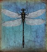 Dragonfly Bug Turquoise