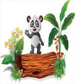 Baby Panda Posing artwork