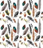 Vivid Feathers Vivid Art