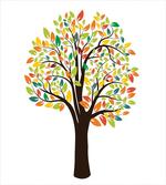 Autumnal Leaves Forest Flora