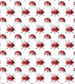 Lady Bug Insect artwork