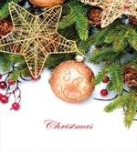 Holly Berries Star