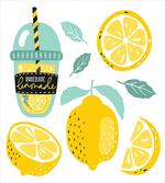 Homemade Lemonade with Pipe