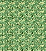 Brazil Forest Foliage