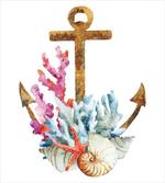 Anchor Corals Seaweed